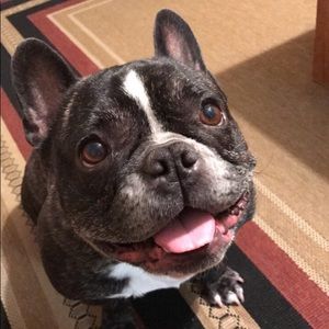 Meet your Posher, Raquel